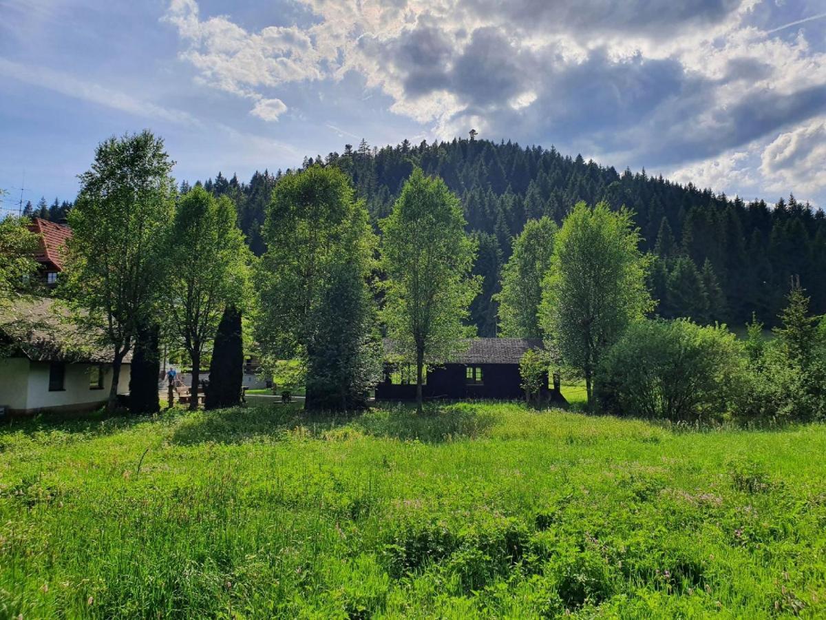 Finkenhof Hotel Schluchsee Kültér fotó