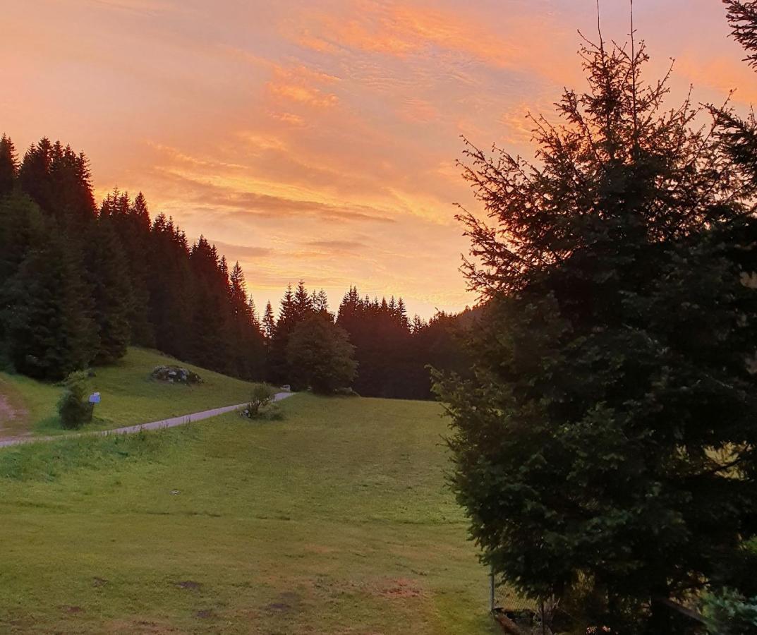 Finkenhof Hotel Schluchsee Kültér fotó